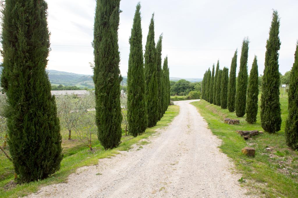 Podere Il Tigliolo Castiglione dʼOrcia Kültér fotó