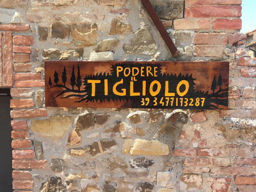 Podere Il Tigliolo Castiglione dʼOrcia Kültér fotó