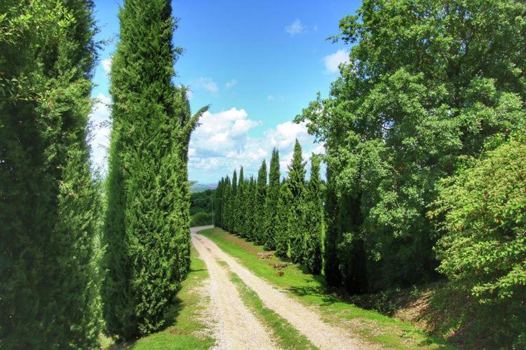 Podere Il Tigliolo Castiglione dʼOrcia Kültér fotó